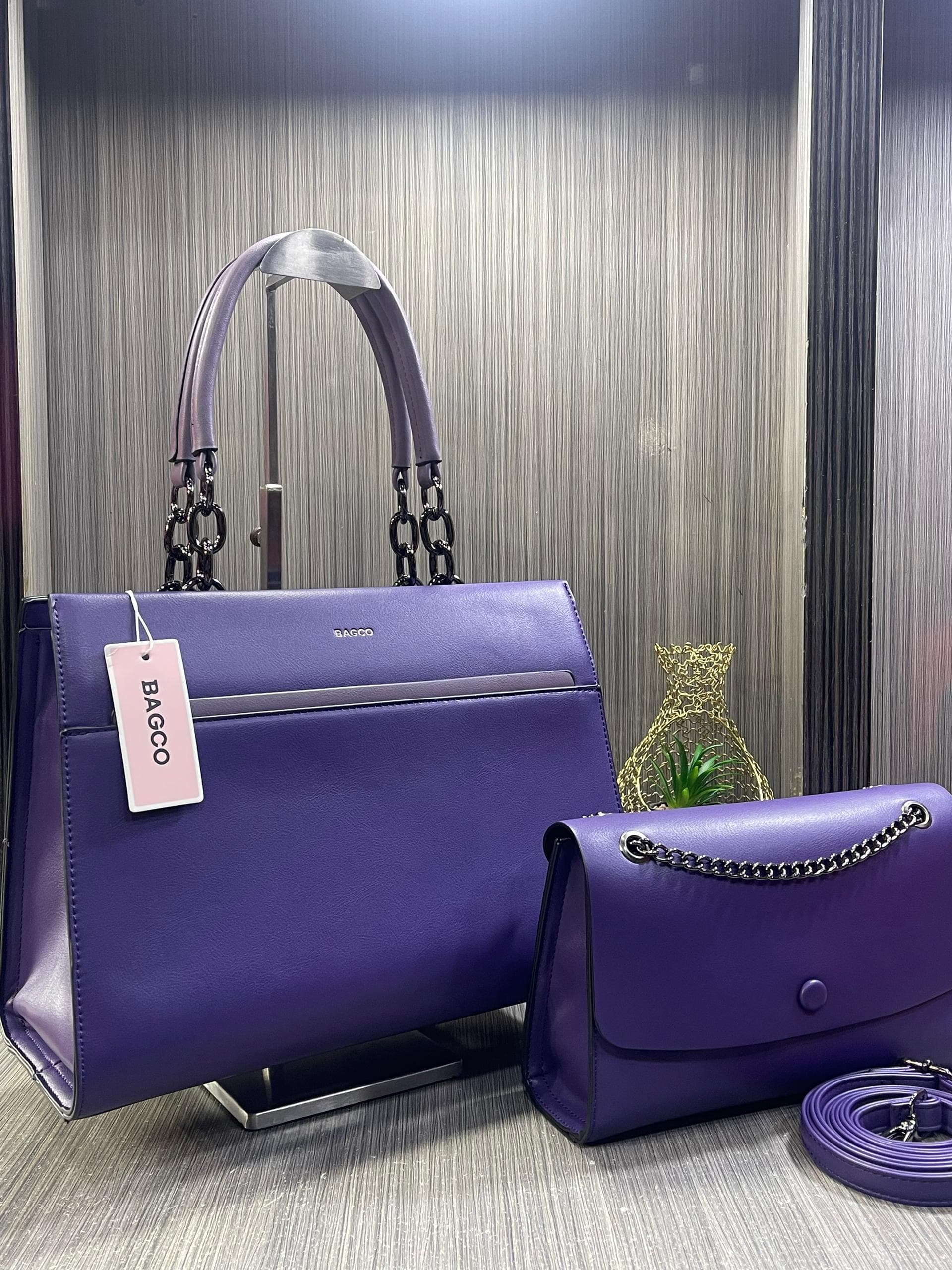 2 in 1 (BAGCO) Bag