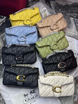 Coach Bag