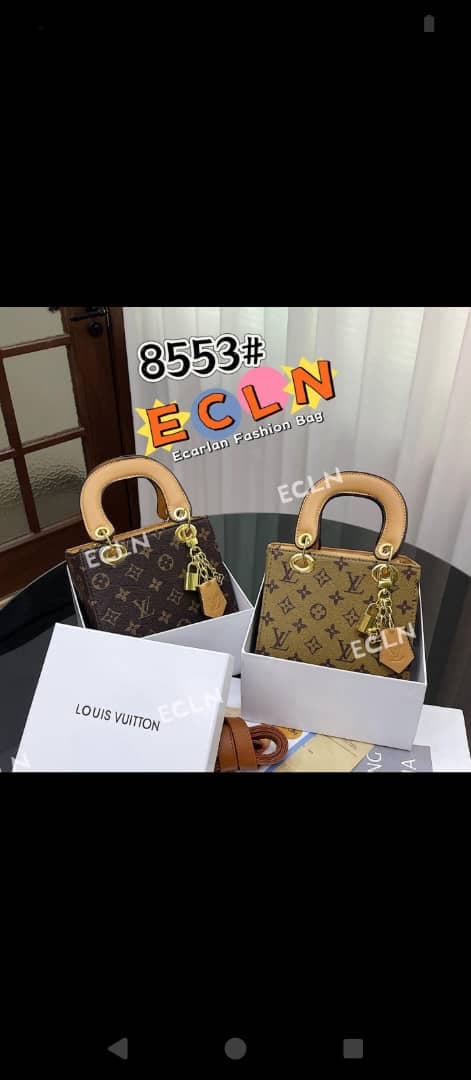 Louis Vuitton design Hand Bag
