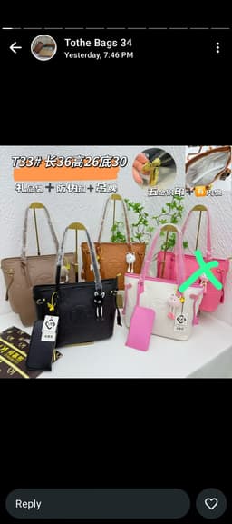 Tothe bags with Teddy/Labubu